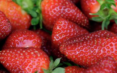 HEB Organic Strawberry Recall