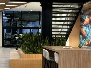 Grow Pediatrics Office